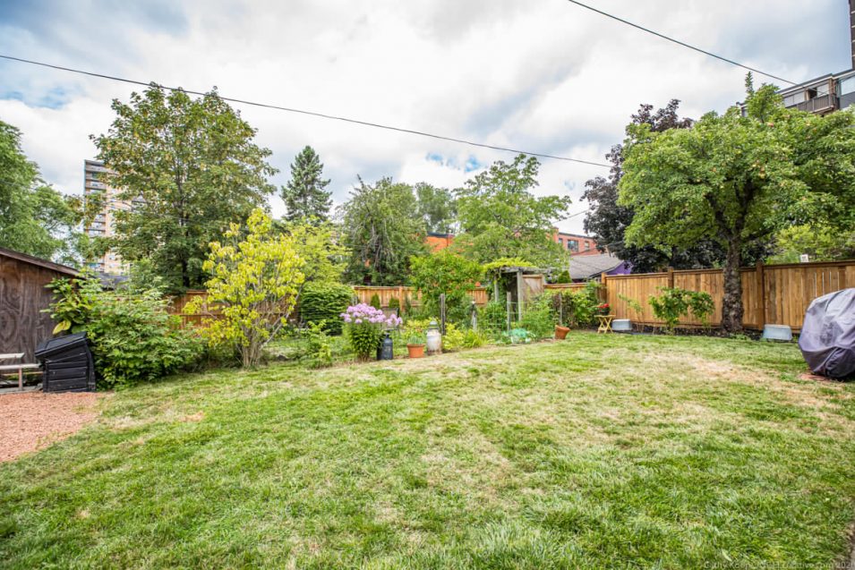 Backyard at 164 Duke Street, Hamilton